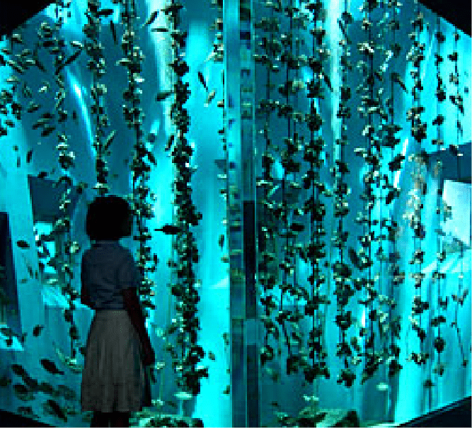 Miyajima Aquarium “Miyajimarine”
